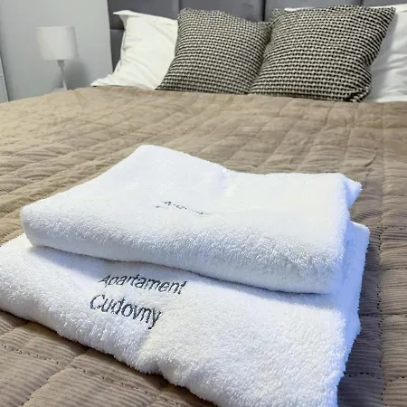 Appartement Cudovny Z Wlasnym Ogrodkiem I Miejscem Parkingowym W Garazu Kudowa-Zdrój