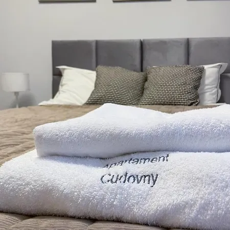 Cudovny Z Wlasnym Ogrodkiem I Miejscem Parkingowym W Garazu Appartement Kudowa-Zdrój